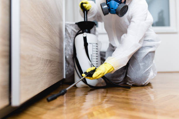 Best Local Pest Control Services  in Wind Gap, PA
