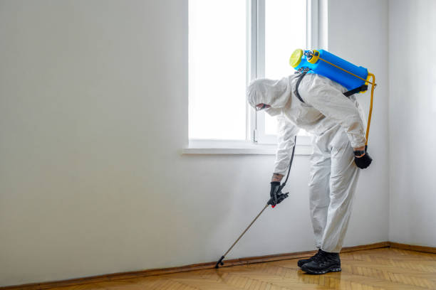 Best Pest Prevention Services  in Wind Gap, PA