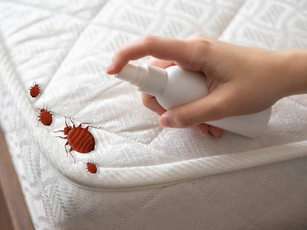 Best Mosquito Control Services  in Wind Gap, PA